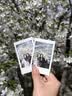 INSTAX富士instax立拍立得 mini相纸 彩虹单包10张+磁吸二合一相框 实拍图