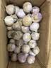 京鲜生 云南独头蒜净重2斤中果2.5-3.0cm带土发货独蒜新鲜蔬菜 源头直发 实拍图