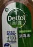 滴露（Dettol）消毒液250ml 衣物消毒水家居宿舍洗衣机消毒混洗无忧 实拍图