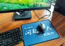 罗技（G）G304/G304X 无线电竞游戏鼠标 轻质便携 FPS 打瓦 三角洲 无畏契约外设必备 吃鸡 CS2 G304黑色 实拍图
