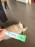 【原研】百多邦 莫匹罗星软膏2%*10g 脓疱病疖肿毛囊炎湿疹 实拍图