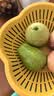 京鲜生红心珍珠芭乐/番石榴 5-8个 净重3斤 单果200g+ 生鲜水果礼盒 实拍图
