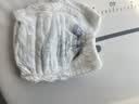 babycare皇室狮子王国拉拉裤加大号XXXL24片 (>17kg)尿不湿干爽大吸量 实拍图