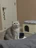 金故原切猫咪狗狗零食营养磨牙 猪里脊块冻干180g【新包装】 实拍图