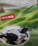 京东京造脱脂初乳高钙牛奶粉1kg 高蛋白0蔗糖成人奶粉免疫球蛋白 实拍图