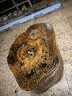 ANERGOO 安尔固水晶滴胶环氧树脂胶京东自营高透明ab硬胶手工diy材料标本制作模具滴胶套装快干超清耐黄变400克 实拍图