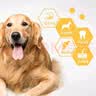 台派狗干粮成犬泰迪金毛比熊小中大型全犬种通用型狗粮5kg 实拍图
