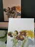 惠普DJ4929/5139无线彩色打印复印扫描一体机家用家庭作业试卷手机连接大墨盒照片小型学生办公A4喷墨 4929（无线打印复印扫描/家用大印量） 套餐二：升级黑彩可循环加墨墨盒+4色墨水1套 实拍图