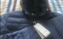 波司登26秋轻薄羽绒服男短款90绒三防排骨条连帽外套B260135007DS 实拍图