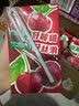 伊利【时代少年团同款】优酸乳车厘子味250ml*24盒 礼盒装 实拍图