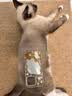 佩玛思特PetMaster深海鱼系列猫粮成猫去毛球猫粮2kg 实拍图