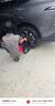 朝阳轮胎 汽车轮胎 245/45R19 102V C66 适配小米SU7/比亚迪汉/SL03 实拍图