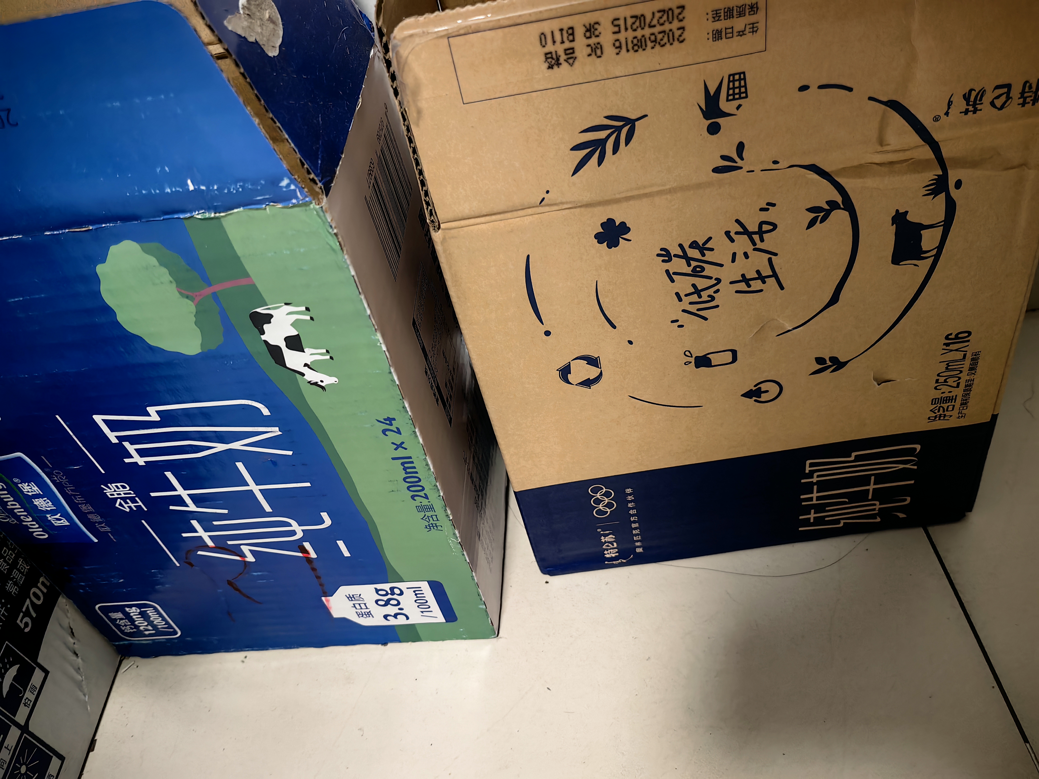 欧德堡（Oldenburger）3.8g优质蛋白 120mg高钙 全脂纯牛奶200ml*24盒 实拍图