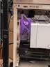 宏碁掠夺者（PREDATOR）宏碁 256G SSD固态硬盘 M.2接口(NVMe协议) N3500系列 暗影骑士龙 实拍图