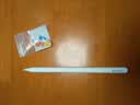 Apple/苹果【教育优惠】Pencil Pro 磁吸触控笔苹果笔电容笔iPad笔 适用于iPad mini/Pro/Air 实拍图