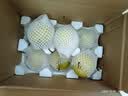 京鲜生河北卢龙雪花梨 净重5斤装 单果250g+ 新鲜水果源头直发 实拍图