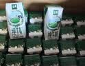 伊利【新鲜日期】金典纯牛奶早餐奶250ml*16盒3.6g 礼盒装 实拍图
