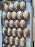 佳沛（zespri）金奇异果25-27粒原箱特大果124-146g猕猴桃水果礼盒 实拍图