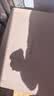 罗莱家纺 学生宿舍100%棉花卉套件纯棉四件套全棉床上用品床单被套 绿色 150*215 实拍图