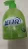 蓝月亮 洗手液泡沫细腻芦荟抑菌300g/瓶 抑菌99.9%滋润保湿 实拍图