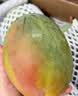 京觅 四川攀枝花凯特芒果4.5-5斤装净重大果600g+甜芒果水果源头直发 实拍图