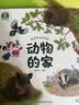 宝宝巴士 神奇的自然世界【全4册】3-6岁科学启蒙自然科普 动物植物昆虫自然探秘 自然科学启蒙 实拍图