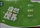 圣牧有机常温酸奶200g*10盒 奶香浓郁口感顺滑 送礼礼盒 实拍图