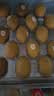 佳沛（zespri）新西兰金奇异果15粒巨大果146-175g猕猴桃中秋节礼品送水果礼盒 实拍图