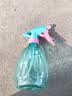 喷壶浇花浇水喷雾器气压式喷水壶家用园艺养花500ml 南瓜喷壶透蓝【1个装】 实拍图