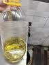 金龙鱼 食用油  精选大豆油5L（新老包装随机发货） 实拍图