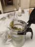 飘逸壶泡茶壶耐热高温玻璃沏茶过滤内胆冲茶器家用茶具套装 飘逸杯500mL1个 实拍图