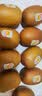 佳沛（zespri）新西兰金奇异果12粒特大果124-146g猕猴桃水果礼盒 实拍图