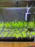 森森（SUNSUN）鱼缸过滤器壁挂式外置过滤泵水族箱过滤器HBL-302 3W 实拍图