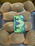 佳沛（zespri）新西兰金奇异果10粒巨大果146-175g猕猴桃水果礼盒 实拍图
