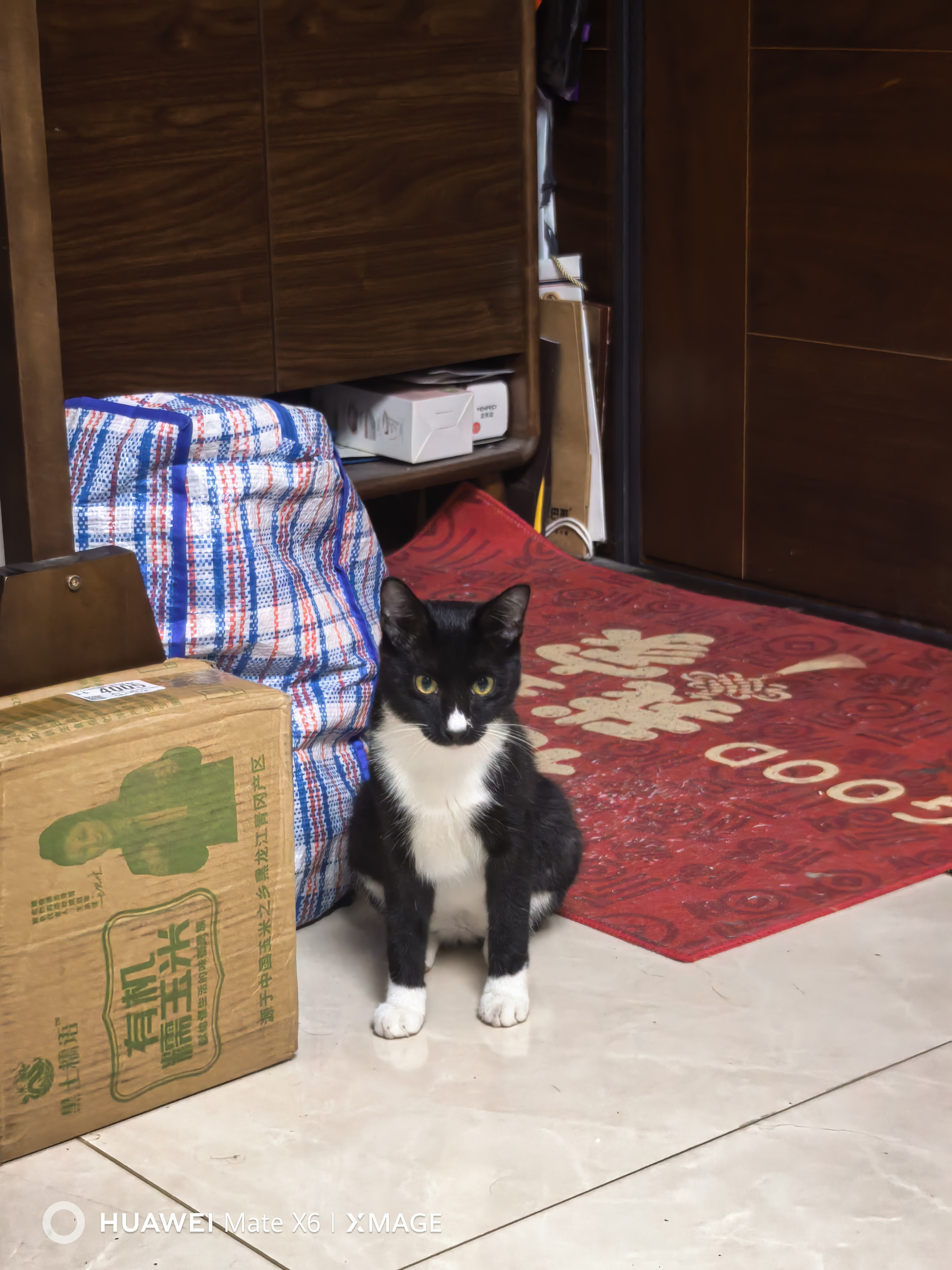 朗亲全价猫干粮成猫英短布偶营养均衡全猫种通用型猫粮10kg 实拍图