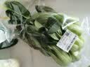 上海青约500g(油菜) 实拍图