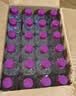 娃哈哈无汽苏打水饮料 350ml*24瓶（甜味）整箱装 弱碱性水 实拍图