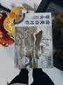 万景厄瓜多尔白虾(4050)净重2.8斤 单只单冻无冰坨盐冻海虾 中秋聚餐 实拍图