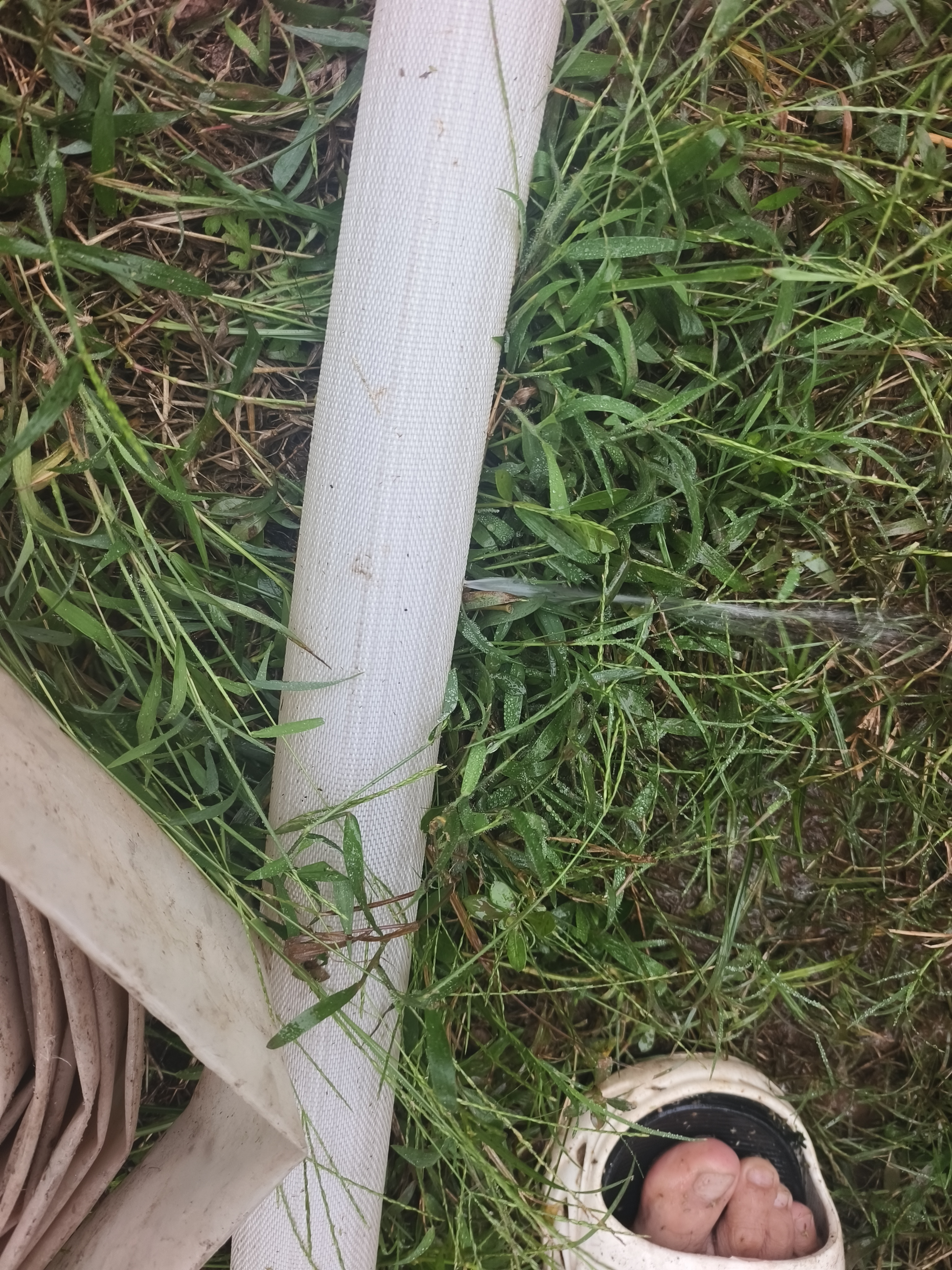 鸣海鲸高压消防水带农用浇地水管帆布防爆2寸3寸4寸灌溉100米软管 2寸加强耐磨型50米送接头 海鲸牌 实拍图