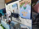 生活诚品儿童学习桌椅套装儿童书桌学生书桌可升降桌椅多功能写字桌 ME7504(90cm)+212椅粉 实拍图