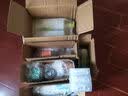 超能肖战同款洗洁精1.5kg*2瓶 爆汁鲜柠 A类超浓配方2倍去油 胶原护手 实拍图