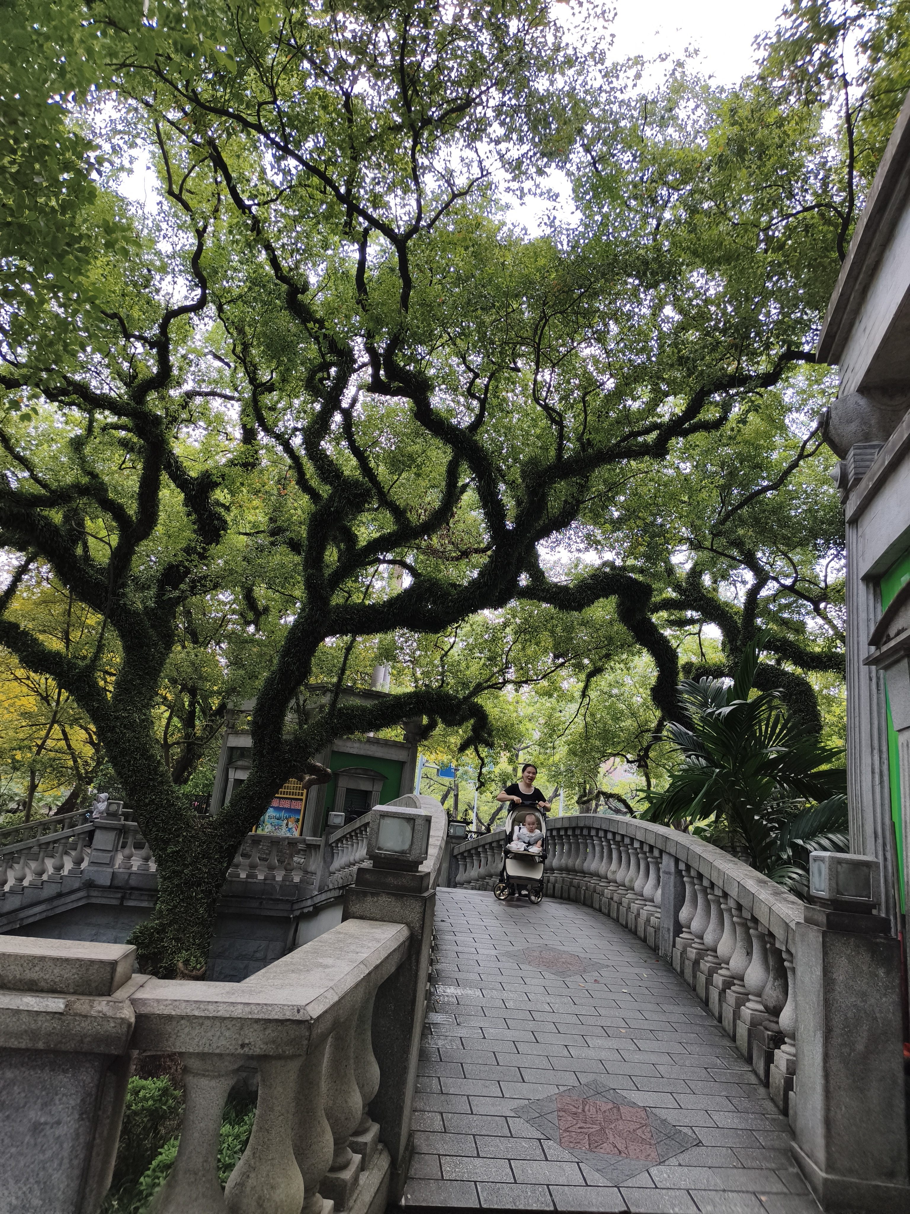 usmile笑容加智能扫振电动牙刷【双支装更划算】 P20PROS白+蓝 新婚情侣送男友女友 60°大摆幅 生日礼物 实拍图