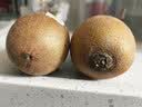 佳沛（zespri）新西兰金奇异果12粒特大果124-146g猕猴桃中秋节礼品送水果礼盒 实拍图