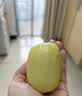 佳沛（zespri）新西兰金奇异果16粒经典果88-103g猕猴桃中秋节礼品送水果礼盒 实拍图