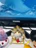 华硕（ASUS）【14代酷睿i7】台式电脑独显商务办公主机大额补贴家用炒股游戏设计渲染企业全套组装电脑 二：酷睿i7丨16G丨1TB丨旗舰办公显卡 华硕(ASUS)主机+24吋显示屏全套【护眼】 实拍图