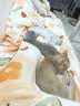 ERGOBABY宠物剃毛器狗狗猫咪推子电推剪脚毛修剪理发器全身推毛器美容造型 实拍图