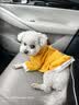 欢宠网宠物狗狗衣服猫咪猫小狗小猫泰迪比熊猫猫小型犬幼犬冬季保暖服饰 实拍图