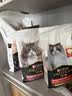 冠能猫粮成猫猫粮三文鱼味2.5kg 全价猫粮 稳固免疫 适口性强 实拍图