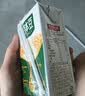 豆本豆芝麻黑豆奶 250ml*20盒植物蛋白饮料黑芝麻黑豆营养学生早餐奶 实拍图