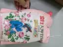 立白大师香氛洗衣液 格拉斯玫瑰香2斤*1袋装 柔顺护衣留香洁净护色 实拍图